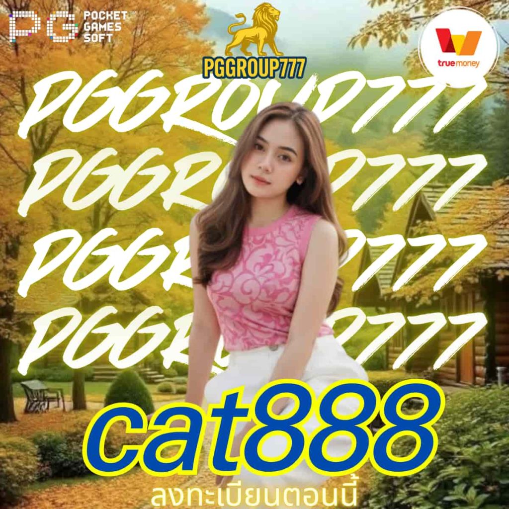 cat888